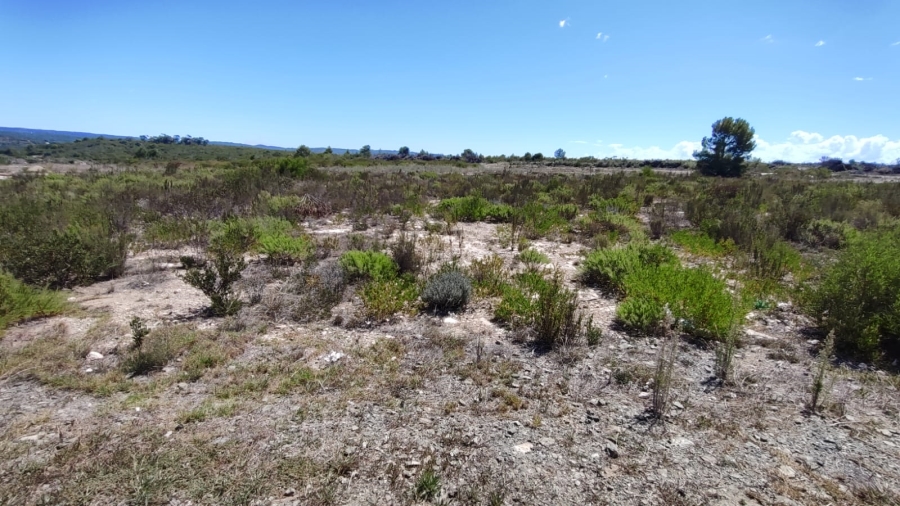 Commercial Property for Sale in Stilbaai Oos Western Cape